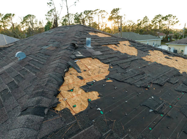 Best Roof Moss and Algae Removal  in Rome, GA