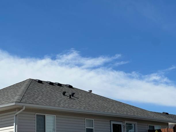 Professional Roofing Services in Rome, GA